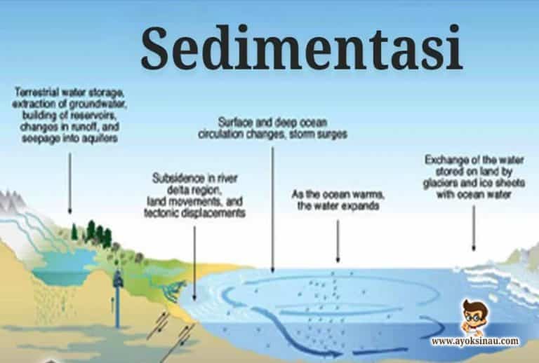 Pengertian Sedimentasi Beserta Fungsi Dan Prosesnya - Ayok Sinau